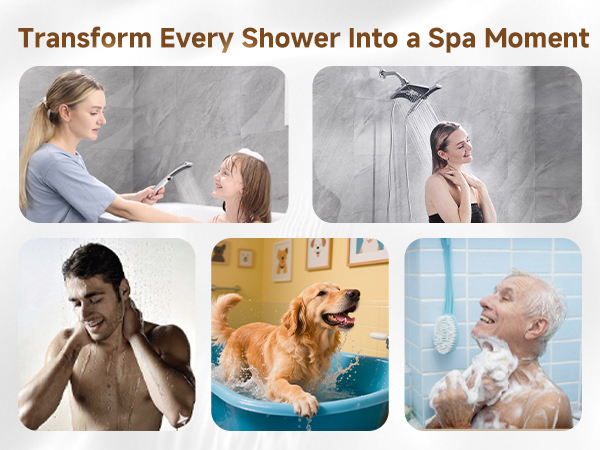 shower head with handheld