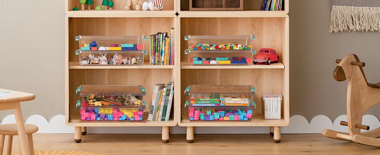 organizer