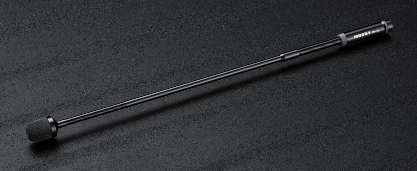 DJ Microphone