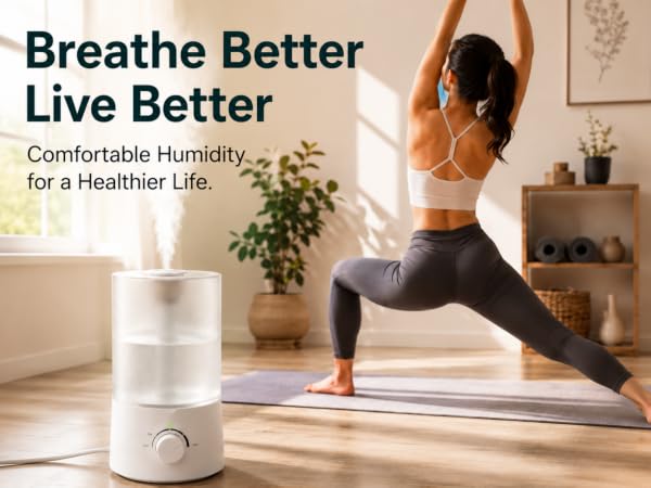 air humidifier