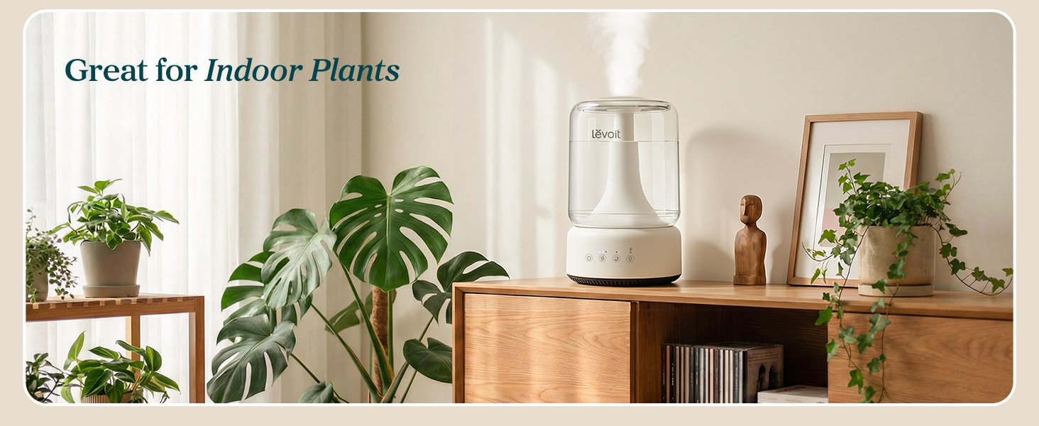 Provide plants with more suitable humidity