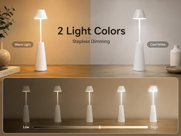 2 Light Colors