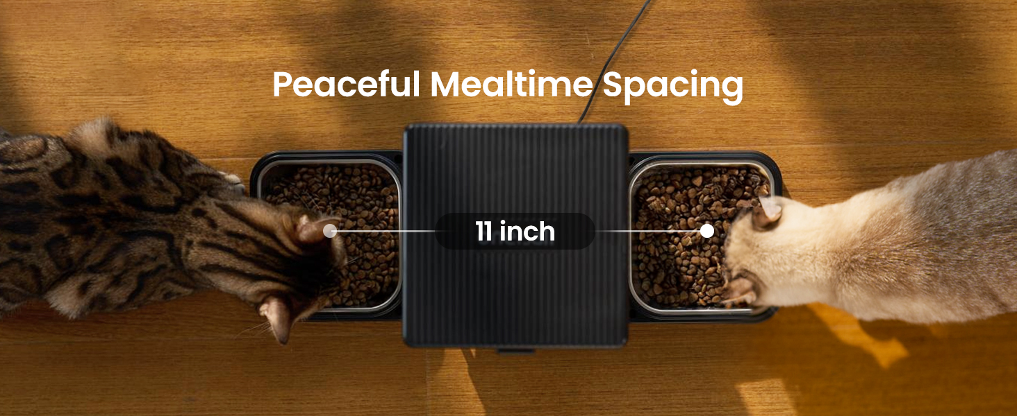 automatic cat feeder