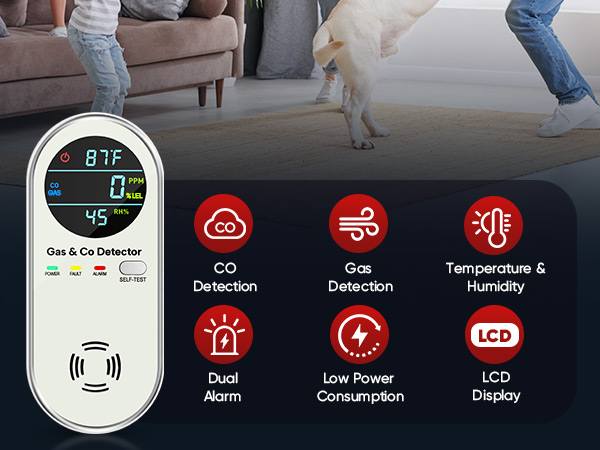 carbon monoxide detectors