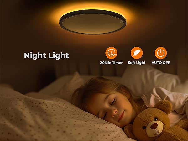 flush mount ceiling light