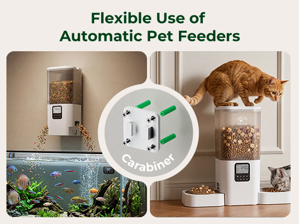 auto feeder cat food