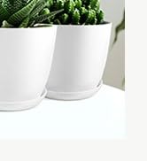 Utopia Home - Plant Pots Indoor with Drainage - 7/6.6/6/5.3/4.8 Inches Home Decor Flower Pots - P...