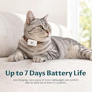 Pet GPS tracker on a relaxed indoor cat, highlighting up to 7 days battery life