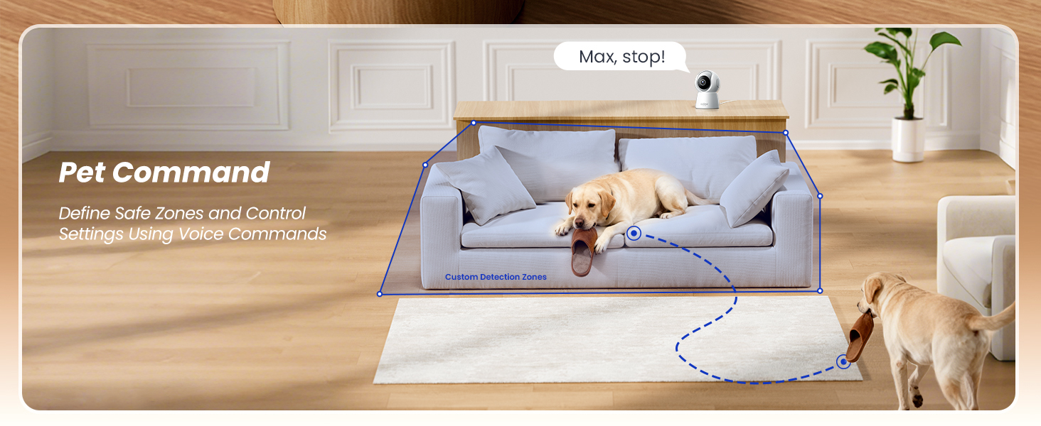 pet camera on a console using audio to address a Labrador on a sofa, with a custom detection zone