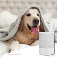 Keep Your Pet Comfortable