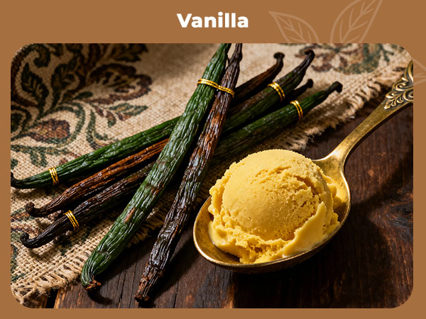 Vanilla