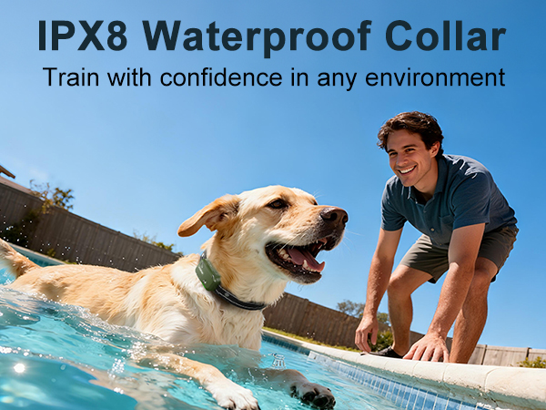 e collar for dogs training