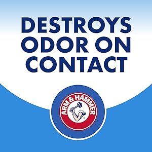 Odor, shoes, refresher