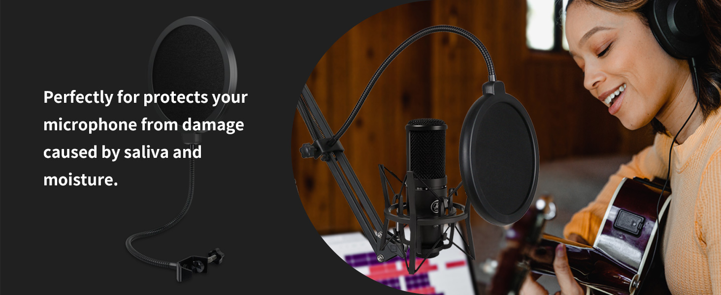 pop filter for microphone