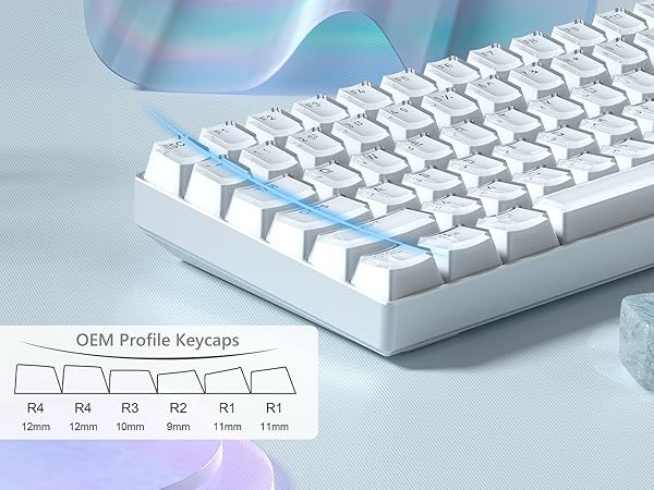 Shine Through PBT Keycaps, Custom Keycaps 60 75 100 Percent OEM Profile