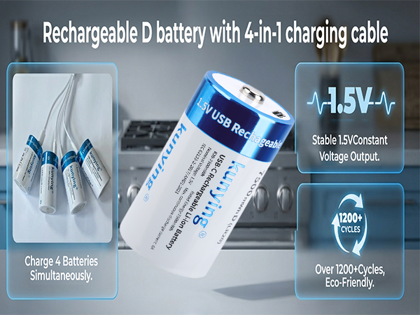 d battery charger