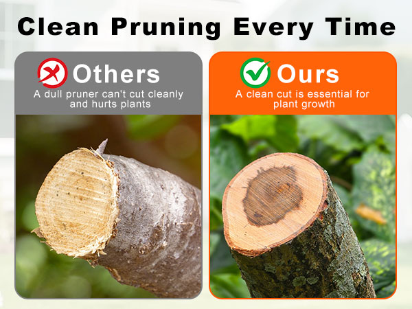 pruning shears