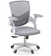 Basic Ergonomic Swivel Office Chair, Black Desk Chair, Executive Chair - Breathable Mesh Backrest...