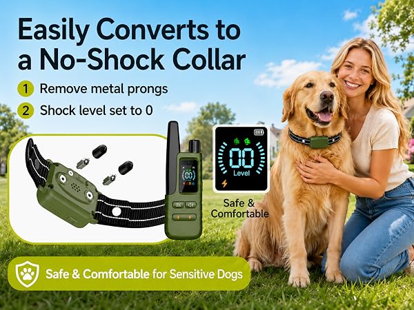 shock collar