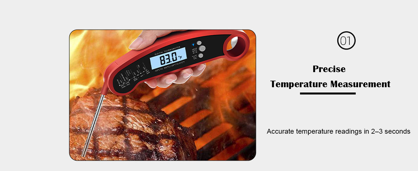 Precise Temperature Measurement