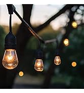 Gabba Goods Indoor/Outdoor Waterproof String Lights, 48ft 15 15W Edison Bulbs Included, Waterproo...