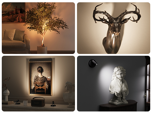 plant spotlight indoor