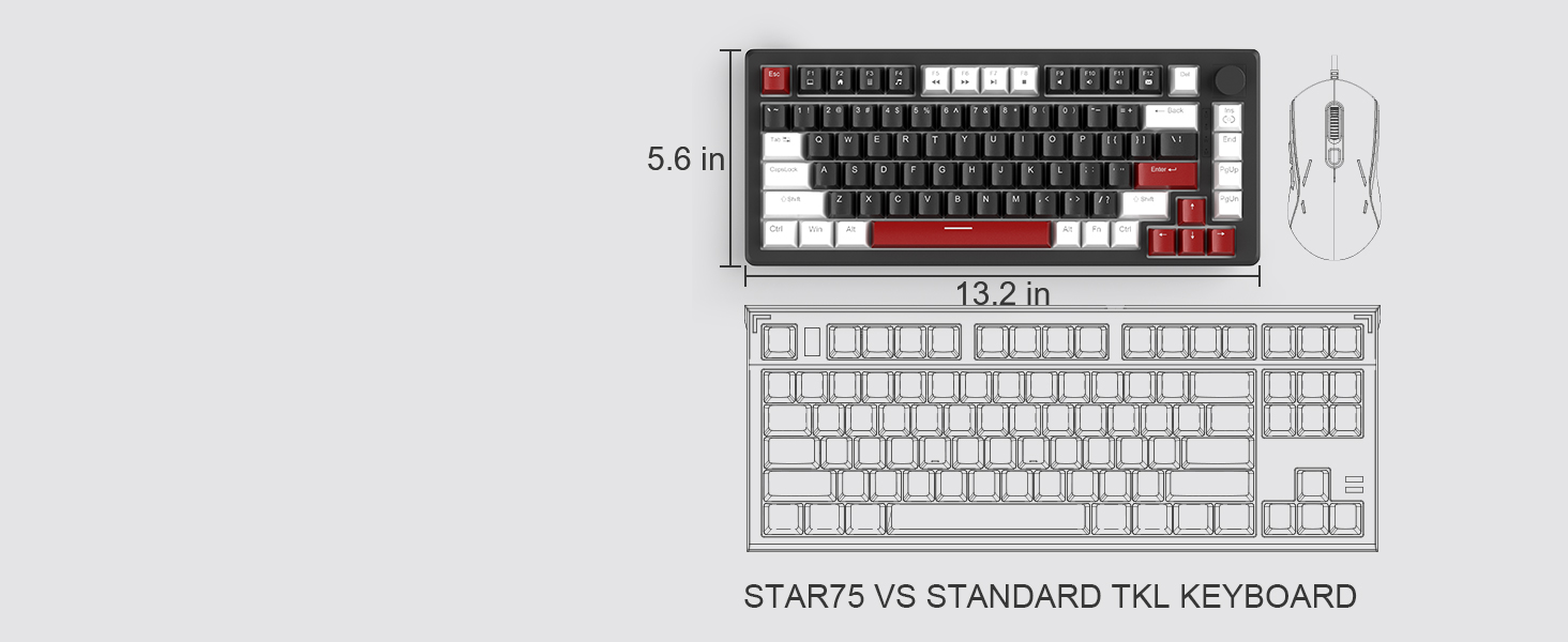 Small Frame, Big Performance