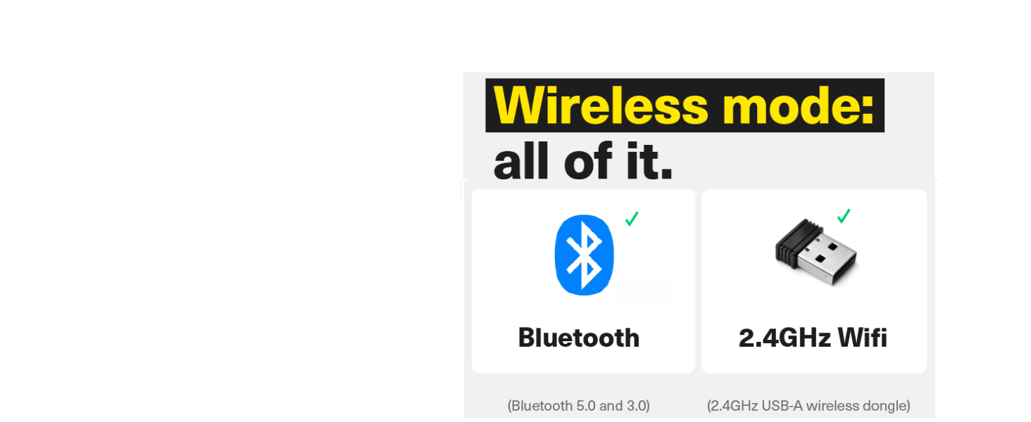 Dual Wireless Connectivity