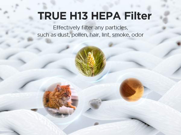 hepa air purifiers for home