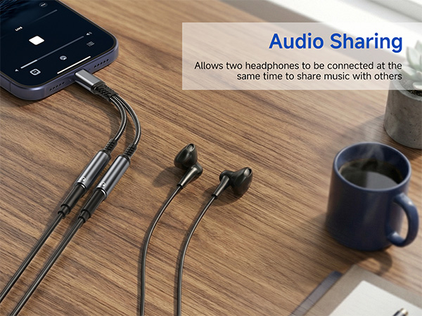 headphone splitter