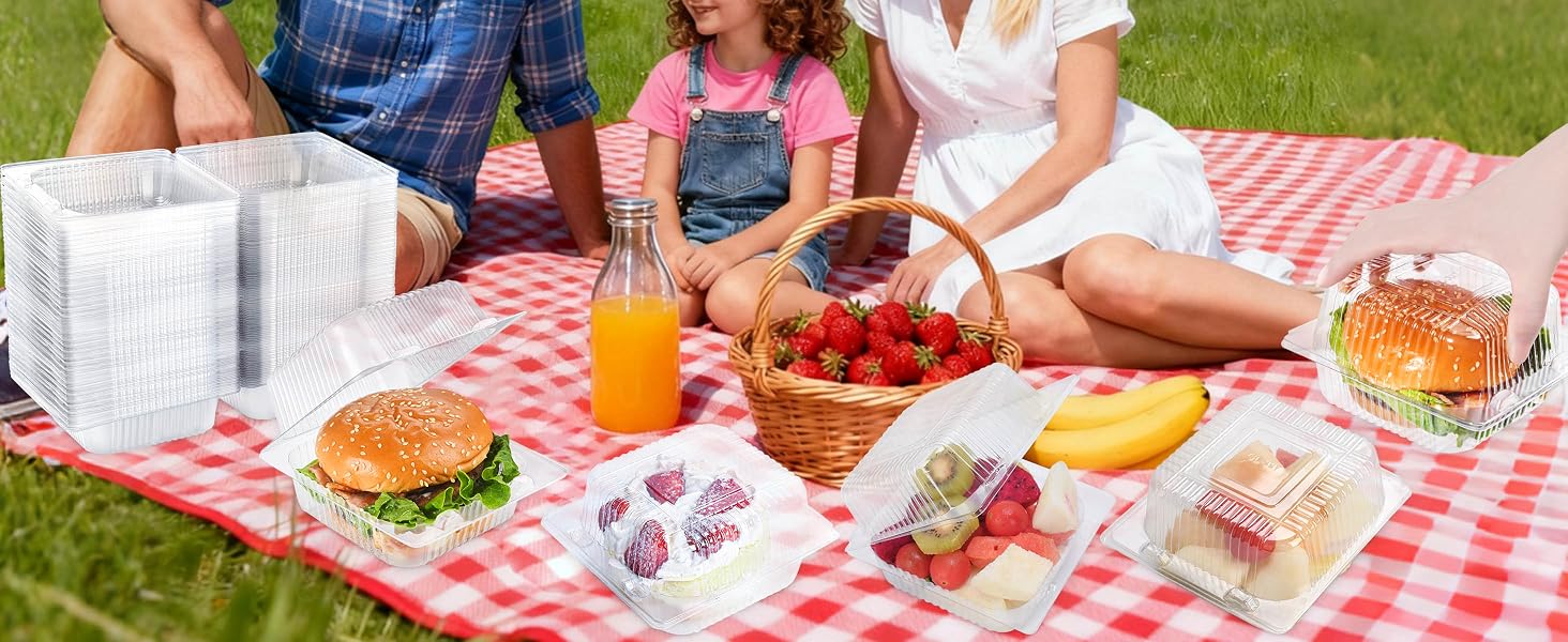 cake slice boxes clear clamshell food containers 4x4 individual cake slice containers take home
