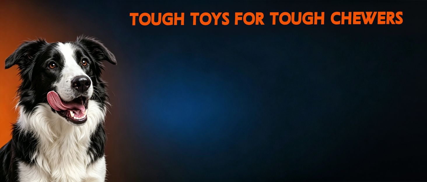 dog toys for aggressive chewers