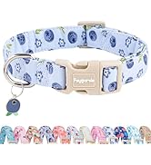 Faygarsle Blueberry Pattern Dog Collar for for Summer Small Medium Large Dogs Light Blue S