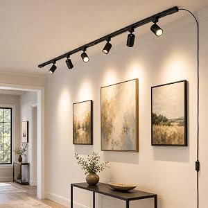 track light plug in