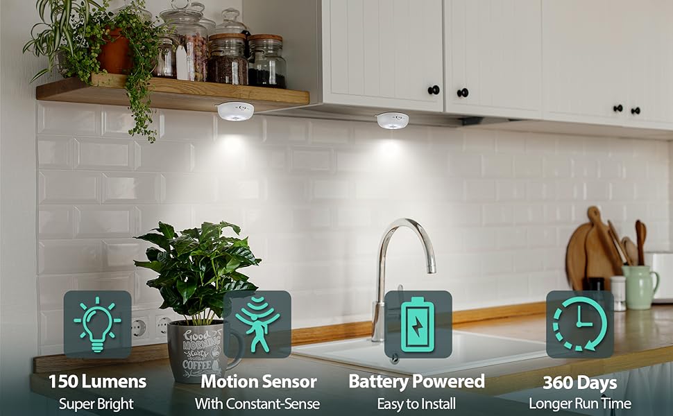 motion sensor light