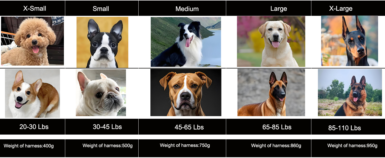 GN3 Adjust dog harness