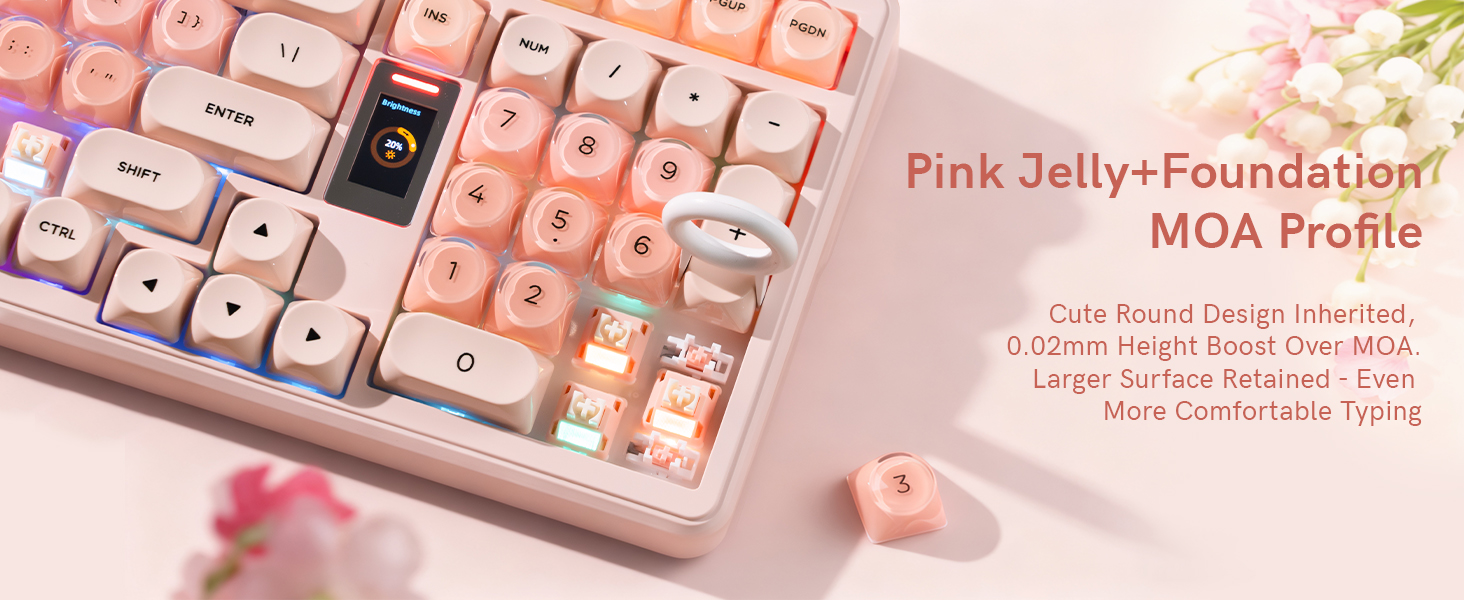 Pink Jelly+Foundation MOA Profile