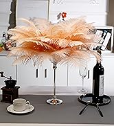 Champagne ostrich feather