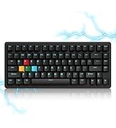 Womier SK75 TMR/HE Keyboard Gaming 75% Hall Effec, Wireless Mechanical Keyboard Rapid Trigger Cus...