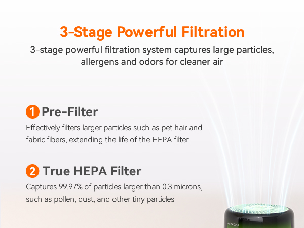 air purifier for dorm