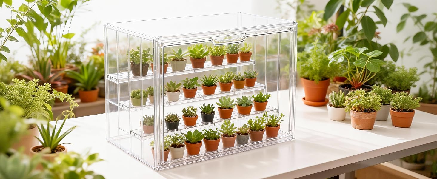 Small Greenhouse