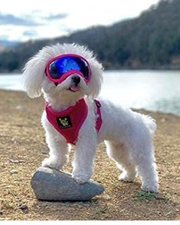 pink dog harness dog harness pink cute dog harness 