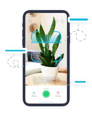 plant care; flora; florasense; spray mist bottle; water plants; plant mister; plant misters inside