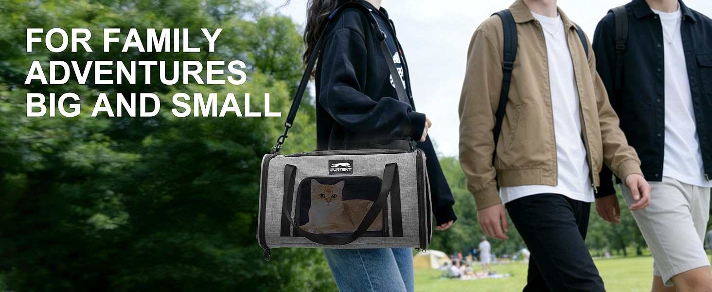 cat carrier grey