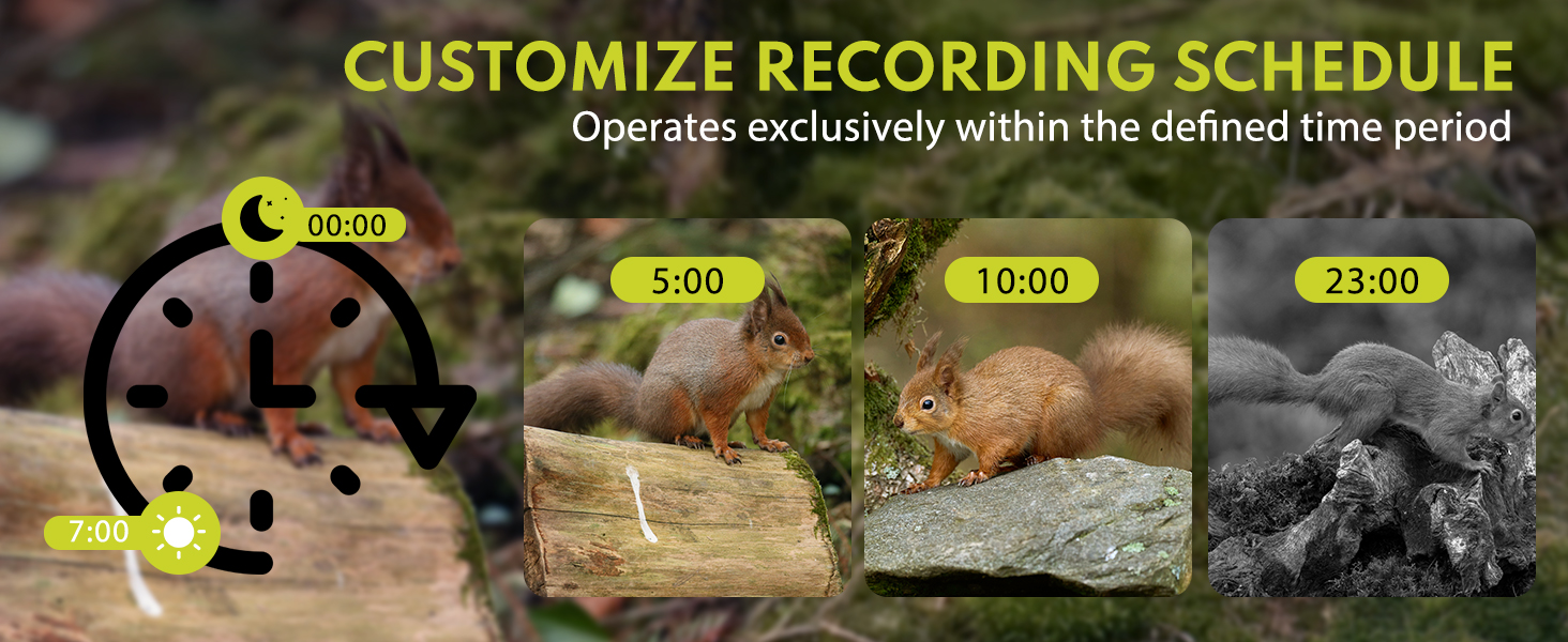 trail camera trail cameras with night vision motion activated waterproof