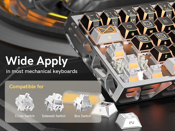 WIDE APPLY