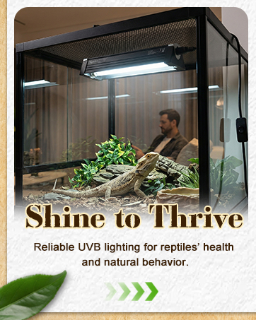 T5 Reptile UVB Light Fixture