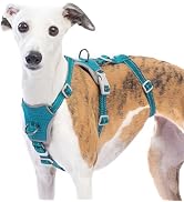 Huntboo Escape Proof Dog Harness – No Pull, No Slip, Fully Reflective, Adjustable 7-Point Design ...