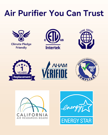 air purifier for living room