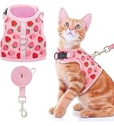 BINGPET Cat Harness with Leash Escape Proof - Fashionable Mesh Cat Dog Walking Harness Leads, Adj...